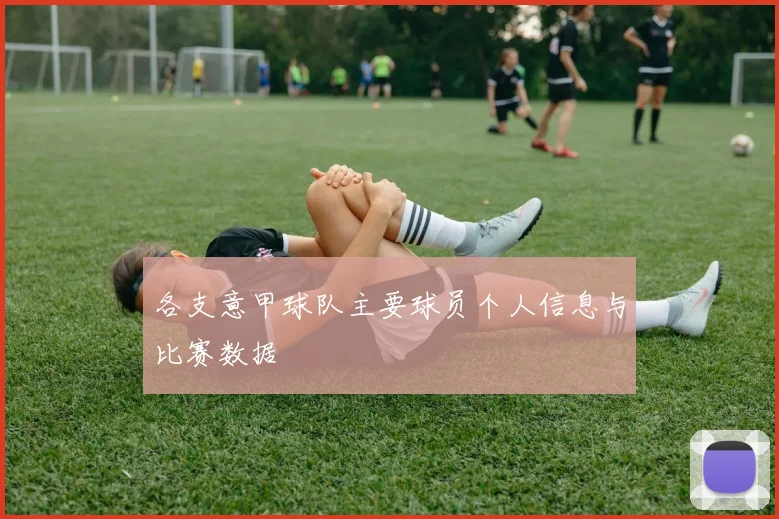 各支意甲球队主要球员个人信息与比赛数据