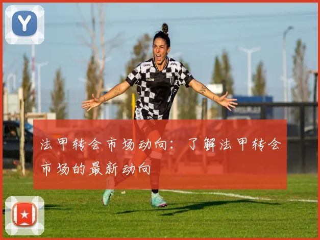 法甲转会市场动向：了解法甲转会市场的最新动向