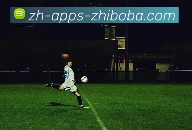 多媒体互动体验